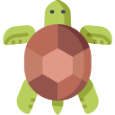 żółw