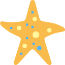 Estrelas do mar