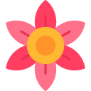 blume