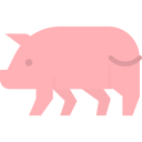 carne de porco
