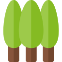 forêt