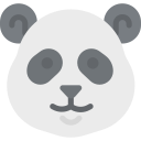 miś panda