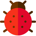 coccinella