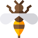 Abeja