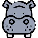 hippopotame