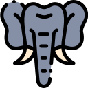 elefant