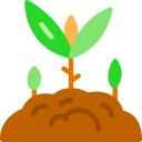 Sprout