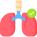 Pulmones