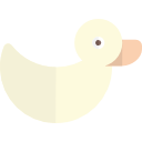 canard