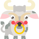 mucca
