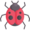 Ladybug