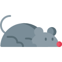 maus