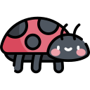 Ladybug