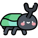 Beetle