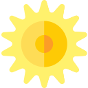 zonnebloem