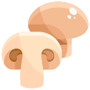 champignon