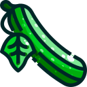 Cucumber