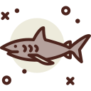 鮫