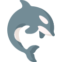 orca