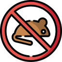 No rodents