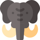 elefant