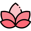 Flor de lotus