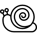 Snail