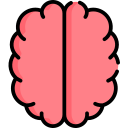 Мозг