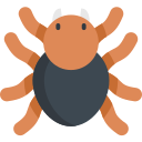 tarantula