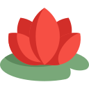 lotus blume