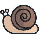 Snail