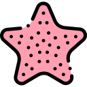 Estrelas do mar