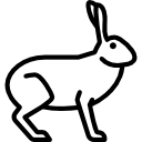 hase