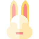 królik