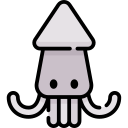 Squid