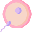 Яйцеклетка