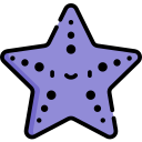 Estrelas do mar