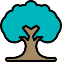 árbol