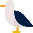 Gaviota