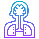 menschliche organe