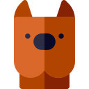 Cão