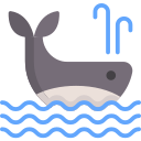 Whale