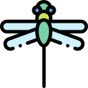 libelle