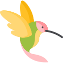 Colibrí