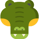 Crocodile