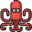 octopus