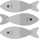 sardines