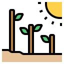 Plantar árvore