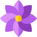 花のデザイン