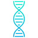 ДНК